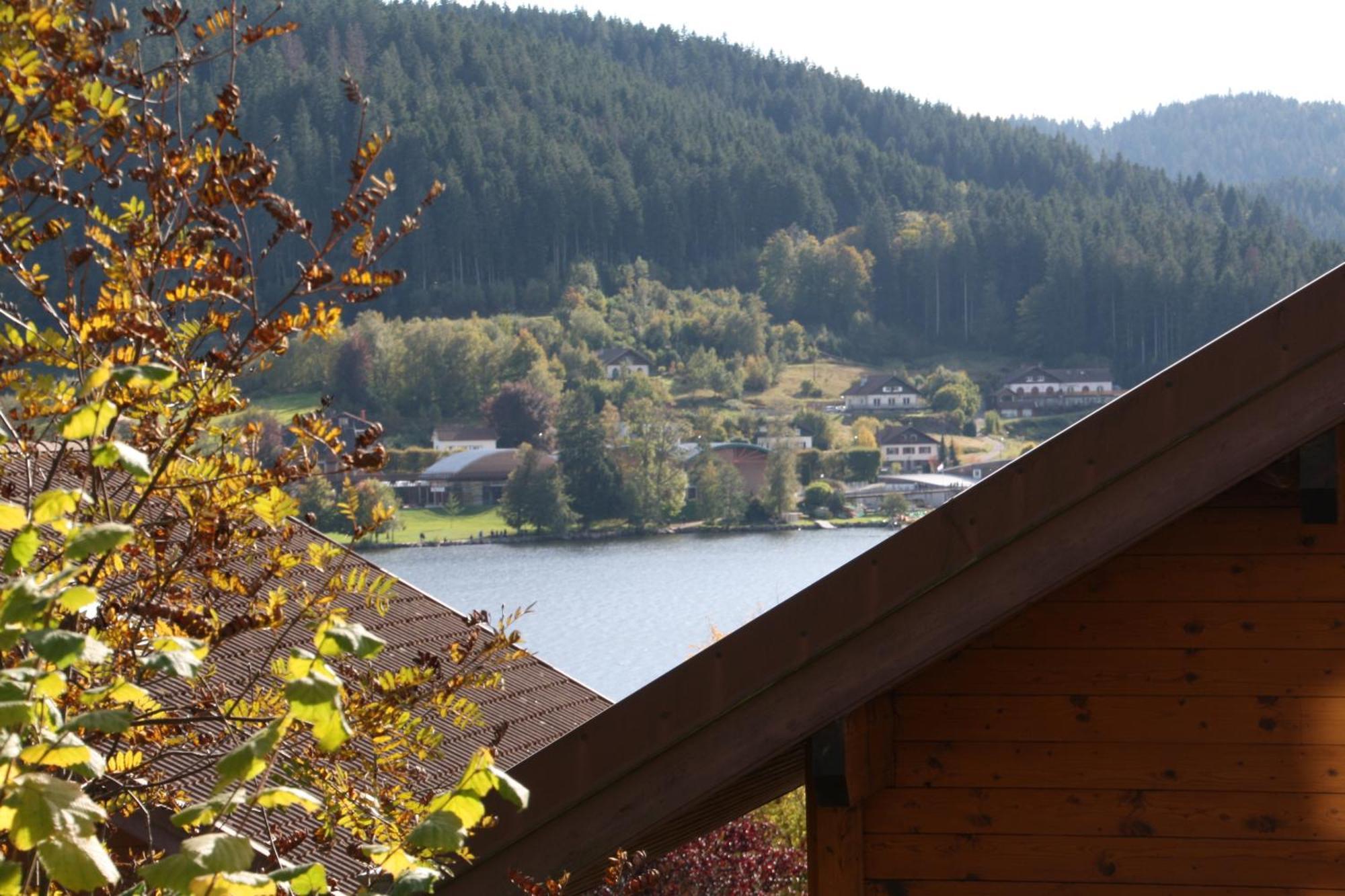 Chalet Vosgien Жерарме Екстер'єр фото